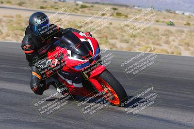 media/Nov-11-2023-SoCal Trackdays (Sat) [[efd63766ff]]/Turn 12 Inside (940am)/